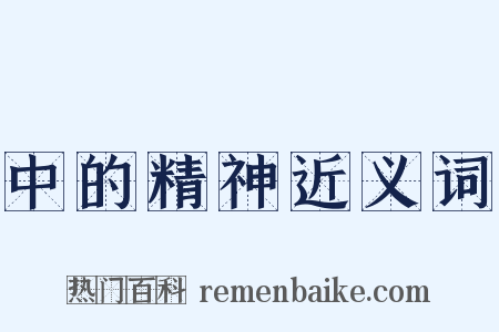 中的精神近义词是什么意思的图片